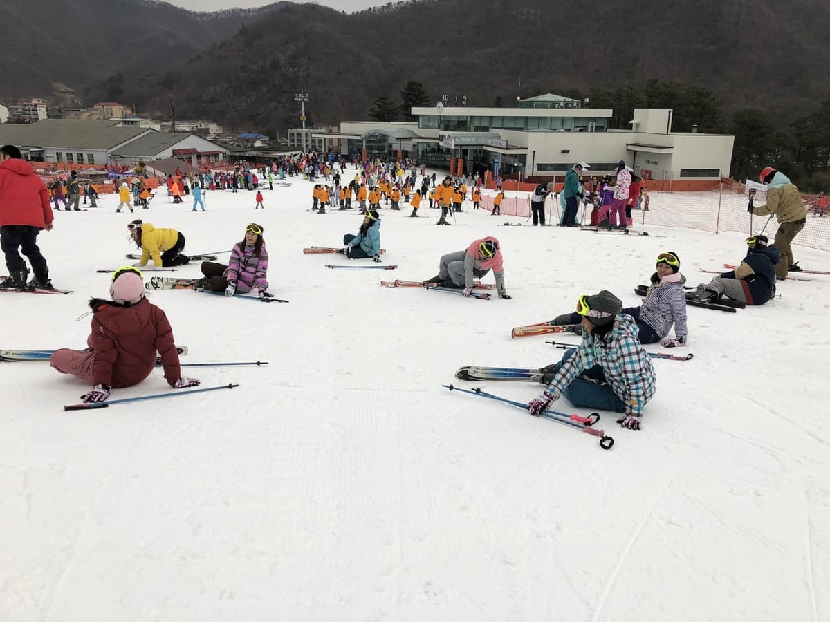 Jisan Forest Ski Resort Full-Day Tour from Seoul