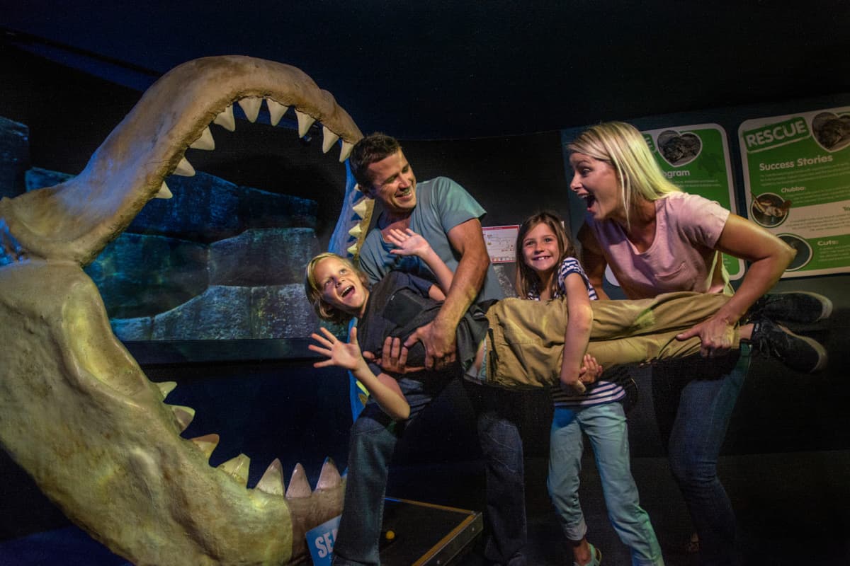 SEA LIFE Sunshine Coast Aquarium Direct Entry Ticket