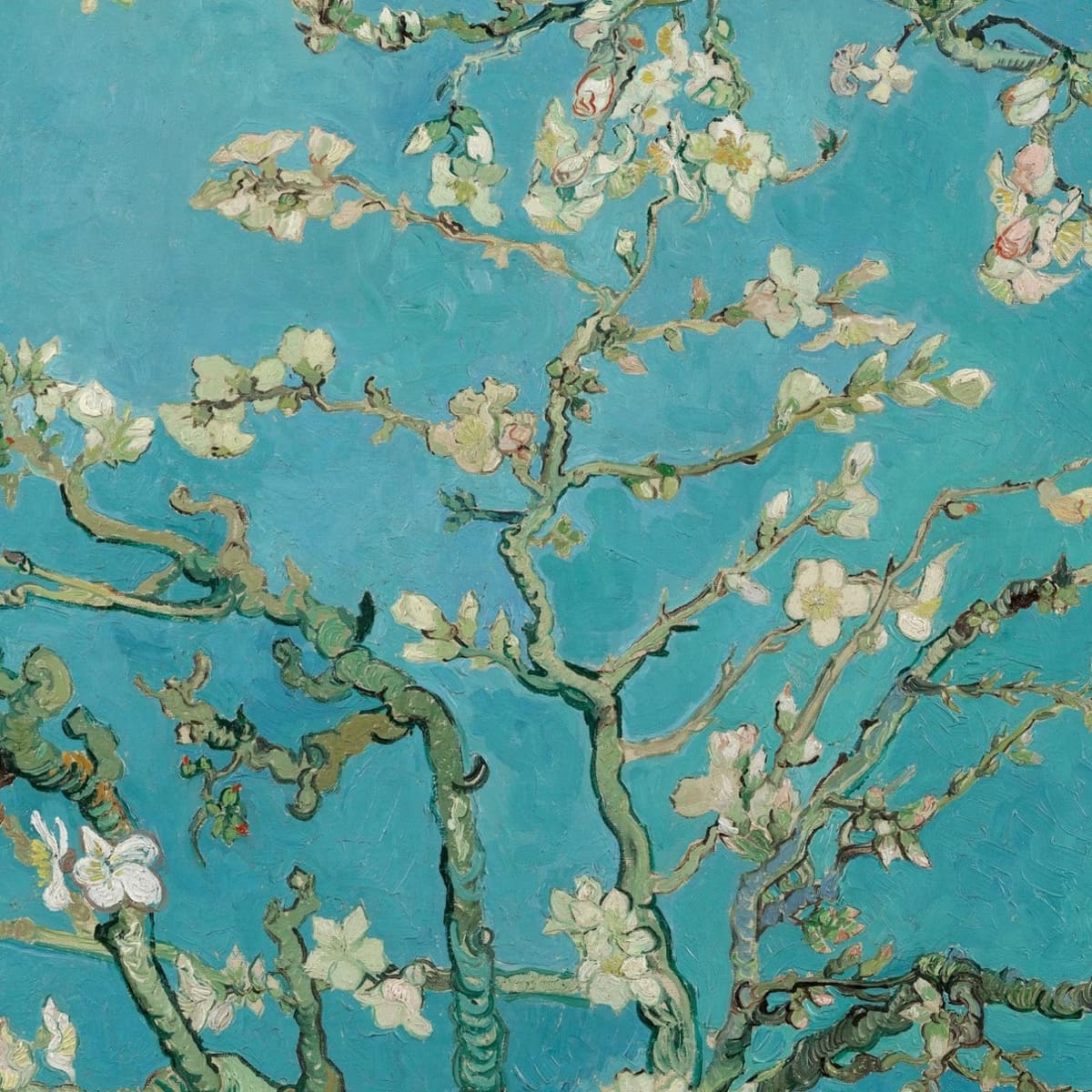 Van Gogh Museum