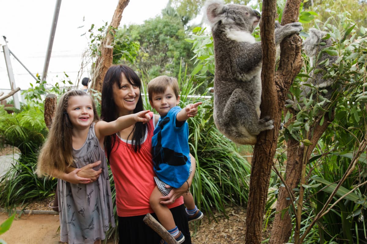 WILD LIFE Sydney Zoo Direct Entry Ticket