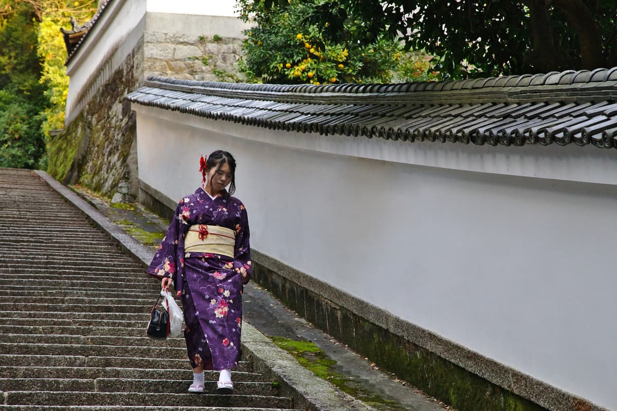 Kyoto-Osaka Sightseeing Pass