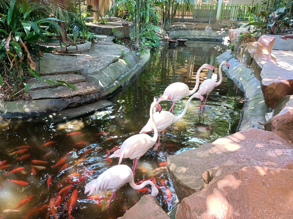 Langkawi Wildlife Park