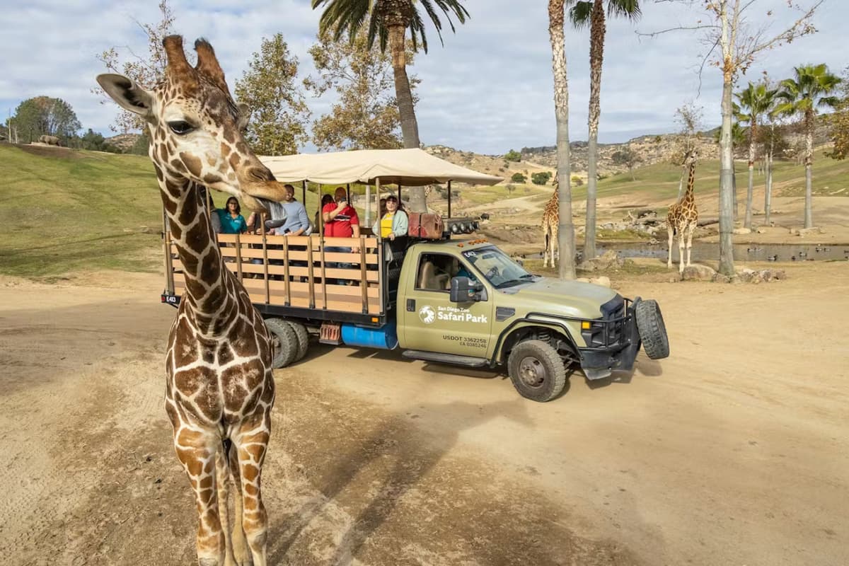 2-Visit Pass: San Diego Zoo + San Diego Zoo Safari Park Tickets