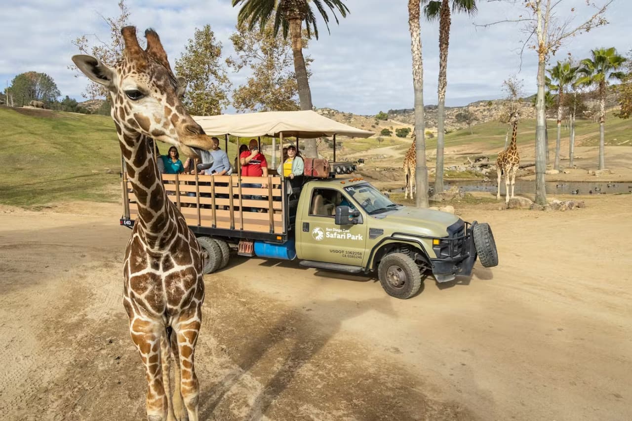 2-Visit Pass: San Diego Zoo + San Diego Zoo Safari Park Tickets