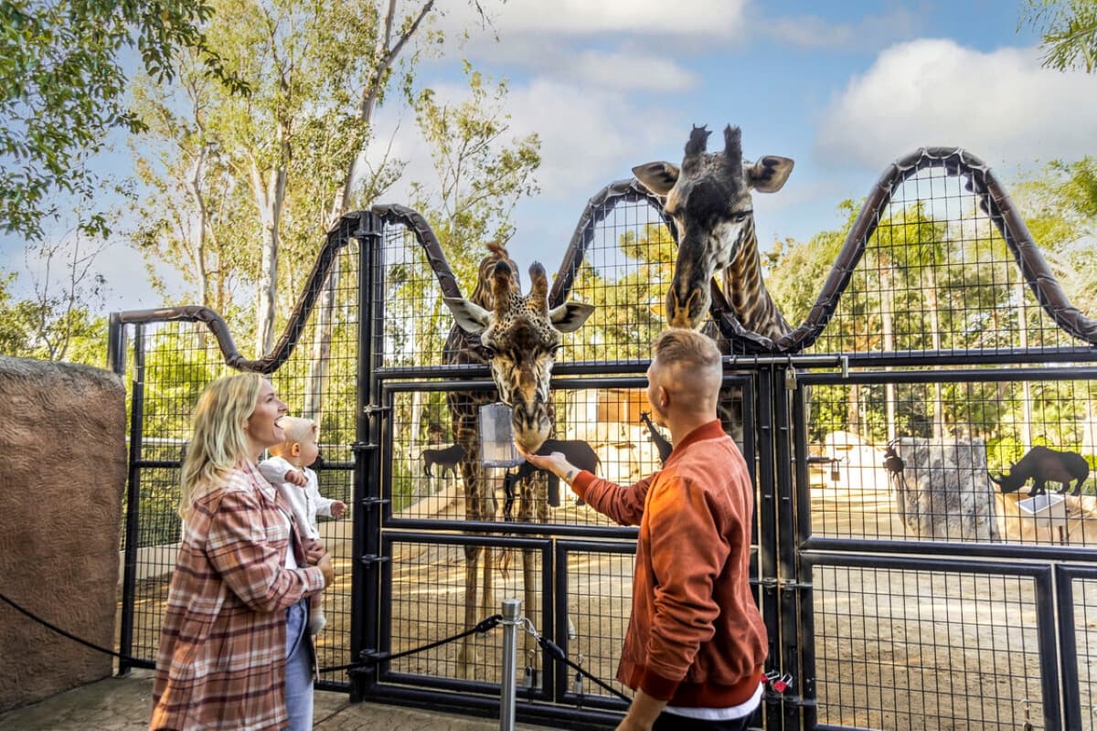 Go City San Diego Essentials Pass: Save up to 50% on Attractions