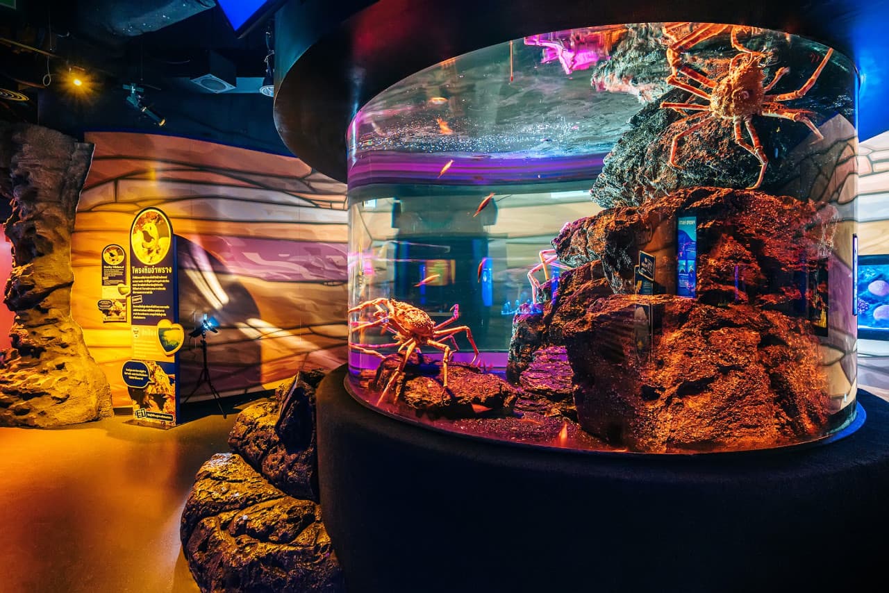 COMBO: SEA LIFE Bangkok Ocean World + Madame Tussauds Bangkok Tickets