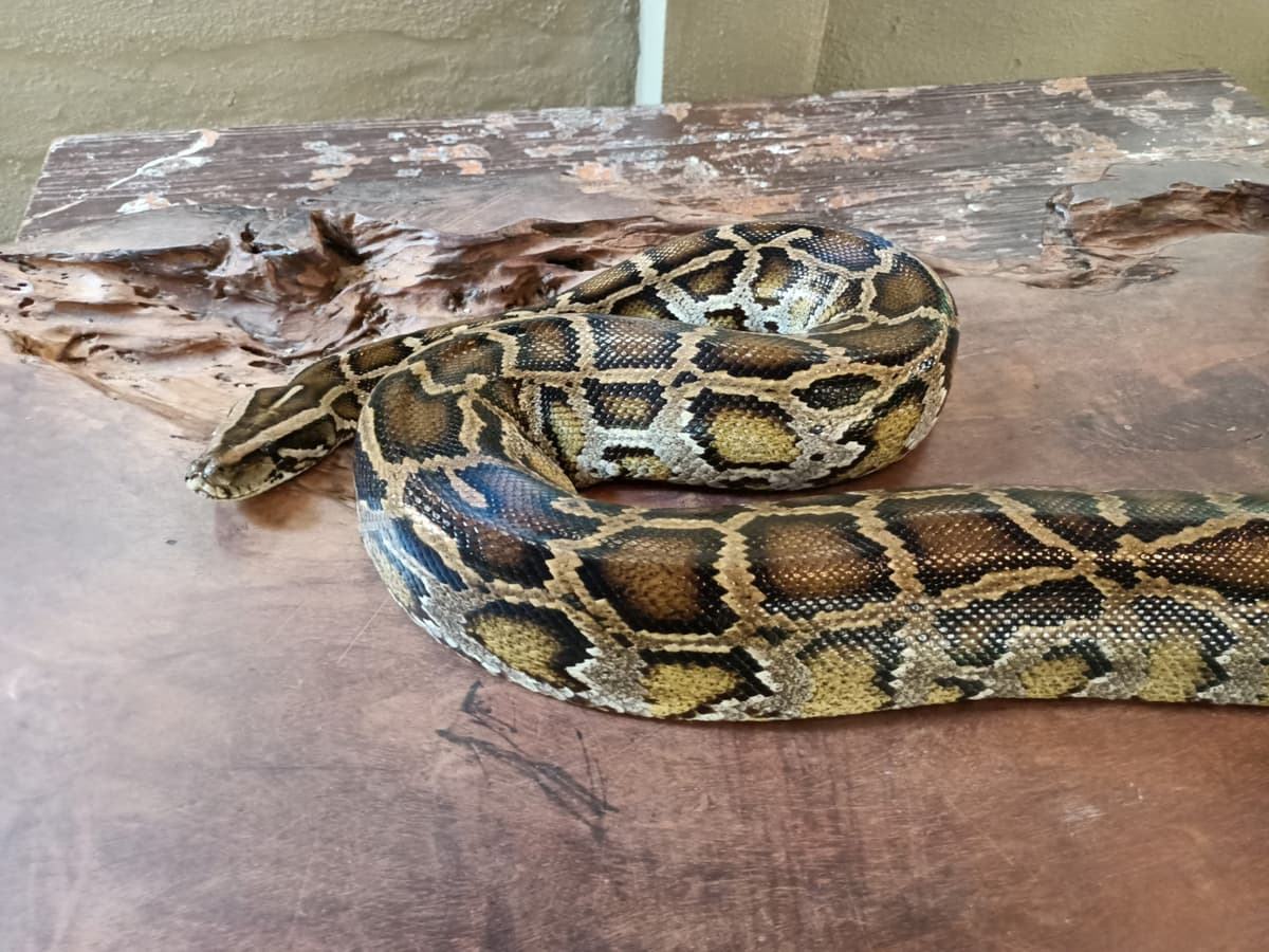 Langkawi Wildlife Park