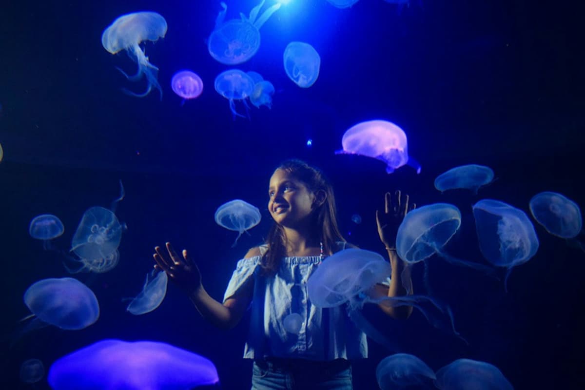 Palma Aquarium: Skip The Line Ticket + Optional 3D Cinema Aquadome