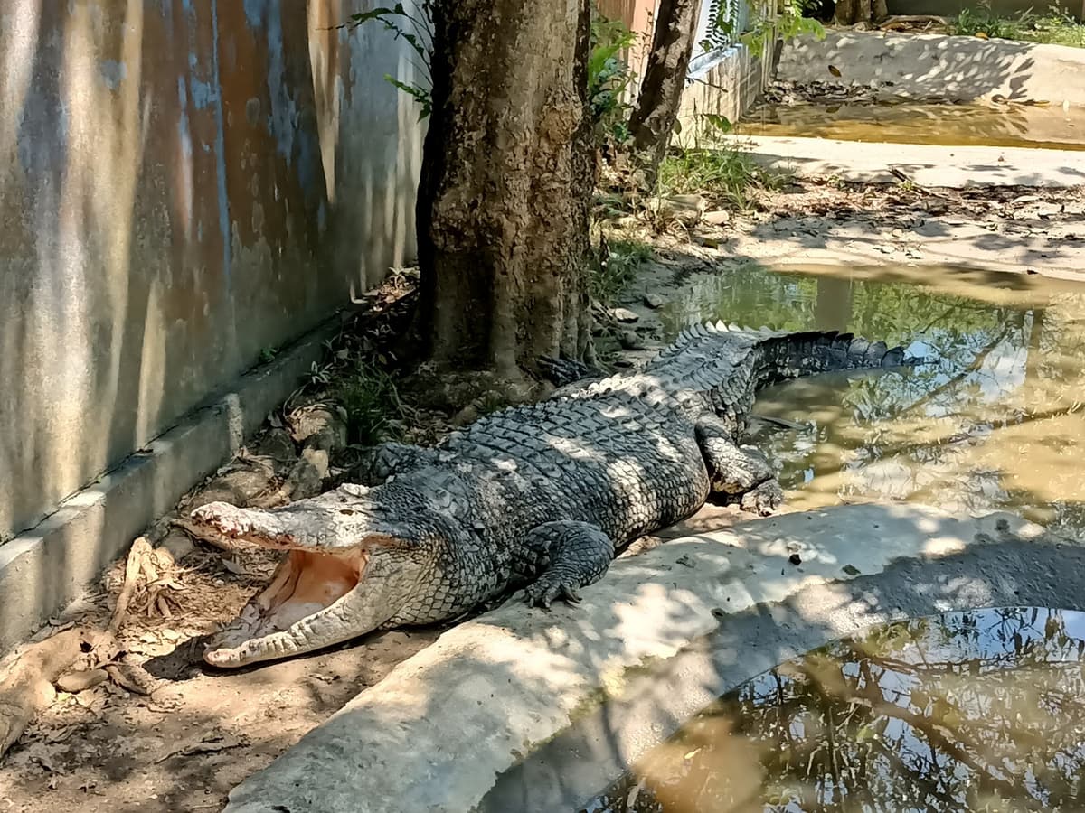 Langkawi Wildlife Park