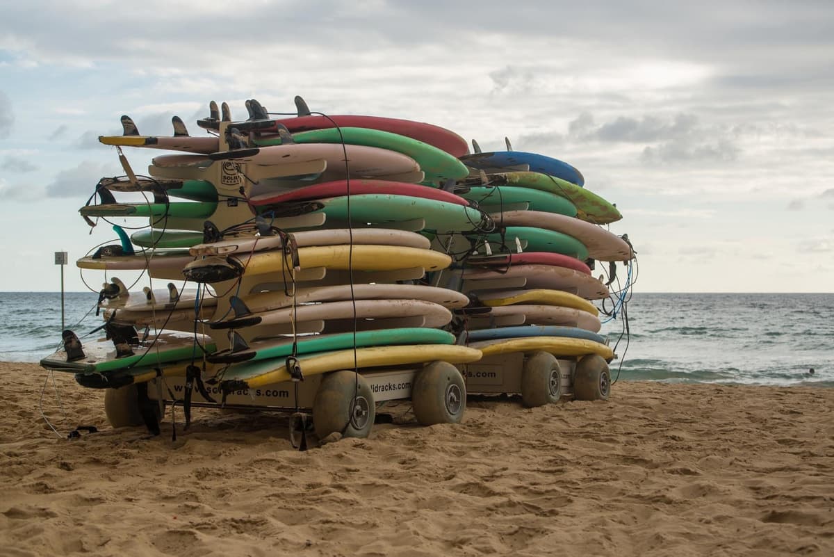Manly Beach Cycling Tour with Sunset Cruise