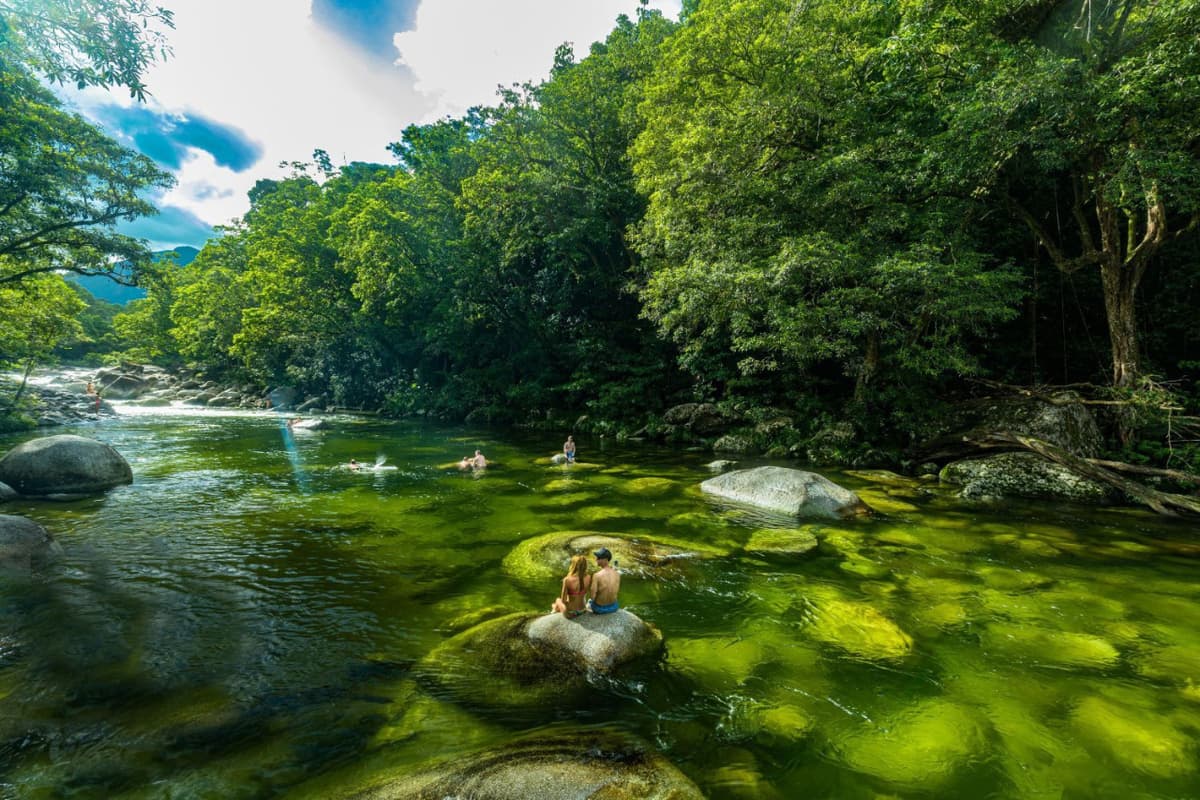 Daintree, Mossman Gorge, and Wildlife Habitat Port Douglas Full-Day Tour
