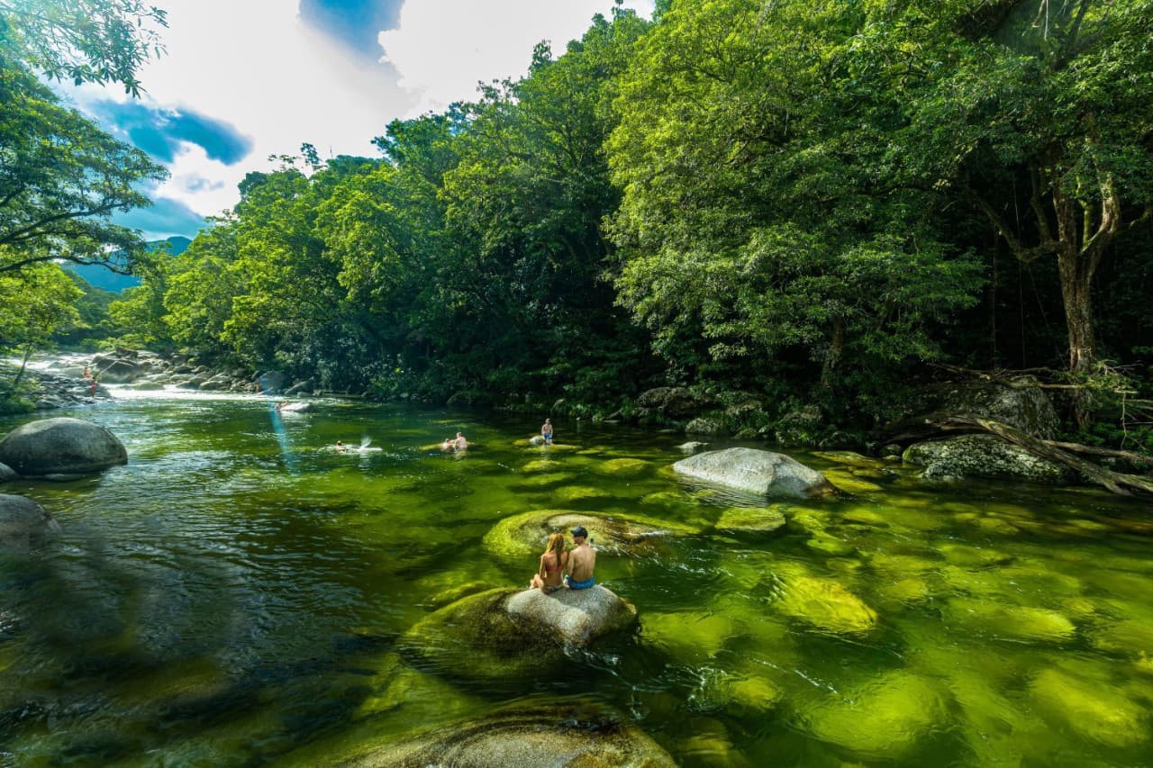 Daintree, Mossman Gorge, and Wildlife Habitat Port Douglas Full-Day Tour