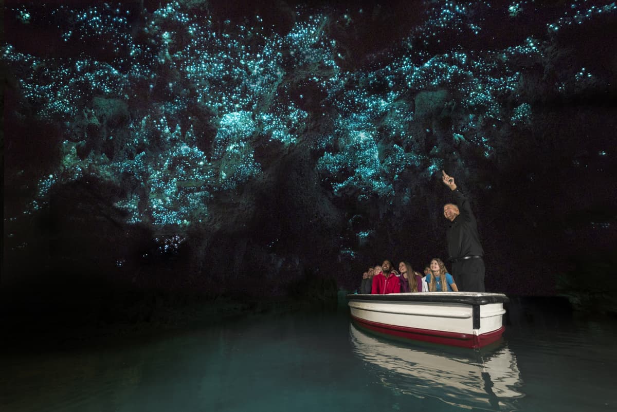 Waitomo Glowworm Caves Tour from Rotorua