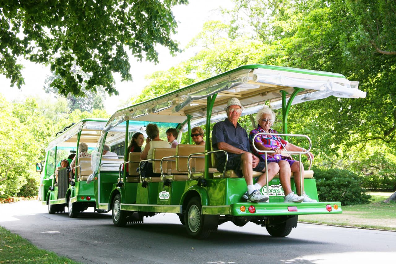 Christchurch Attractions - Christchurch Botanic Gardens - CHCTDCBGCHCDAYA