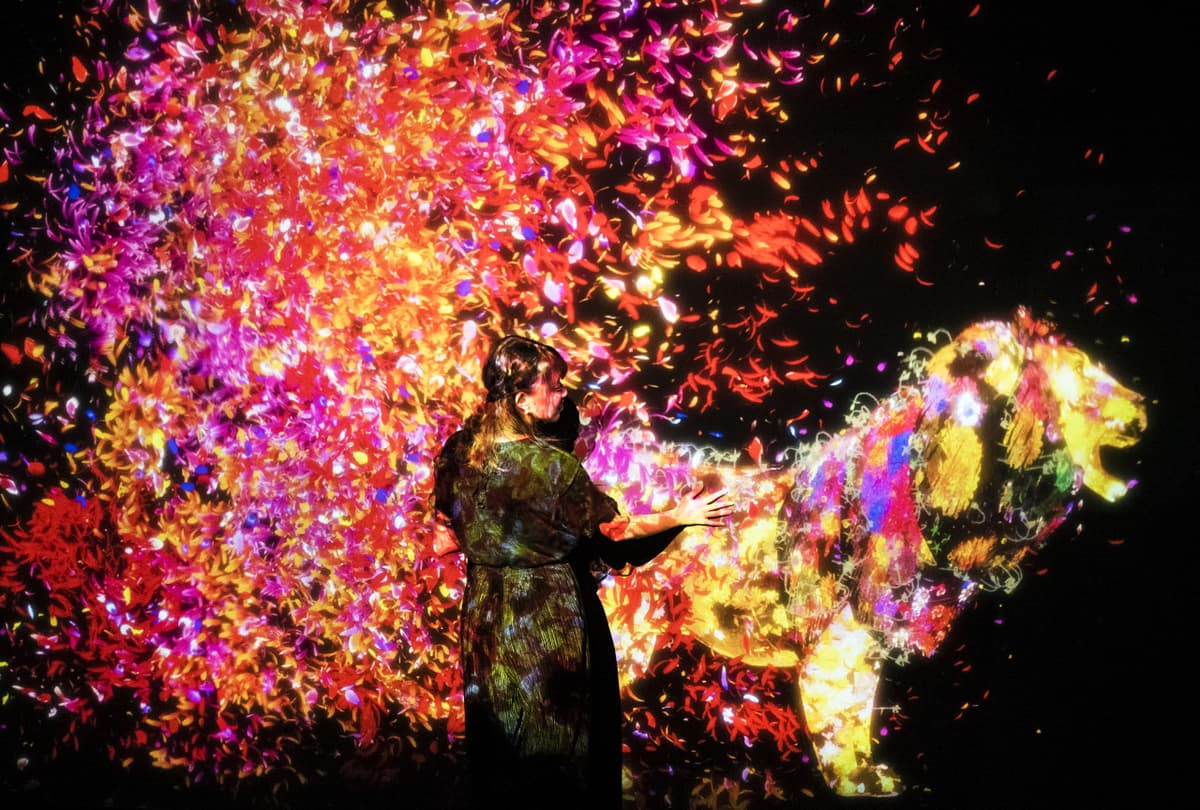 teamLab SuperNature Macao 3D Interactive Exhibition Ticket