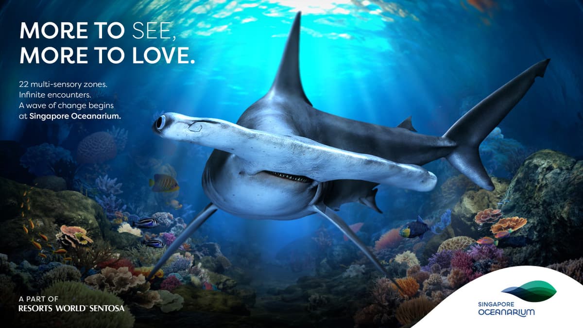 COMBO: Singapore Oceanarium + Albatross Hop-On Hop-Off Speedboat Tickets