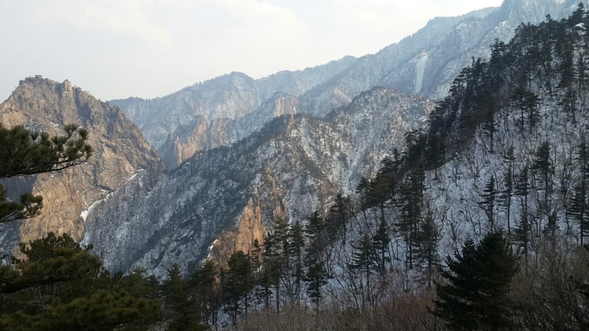 Mount Seorak and Naksansa Temple Tour from Seoul