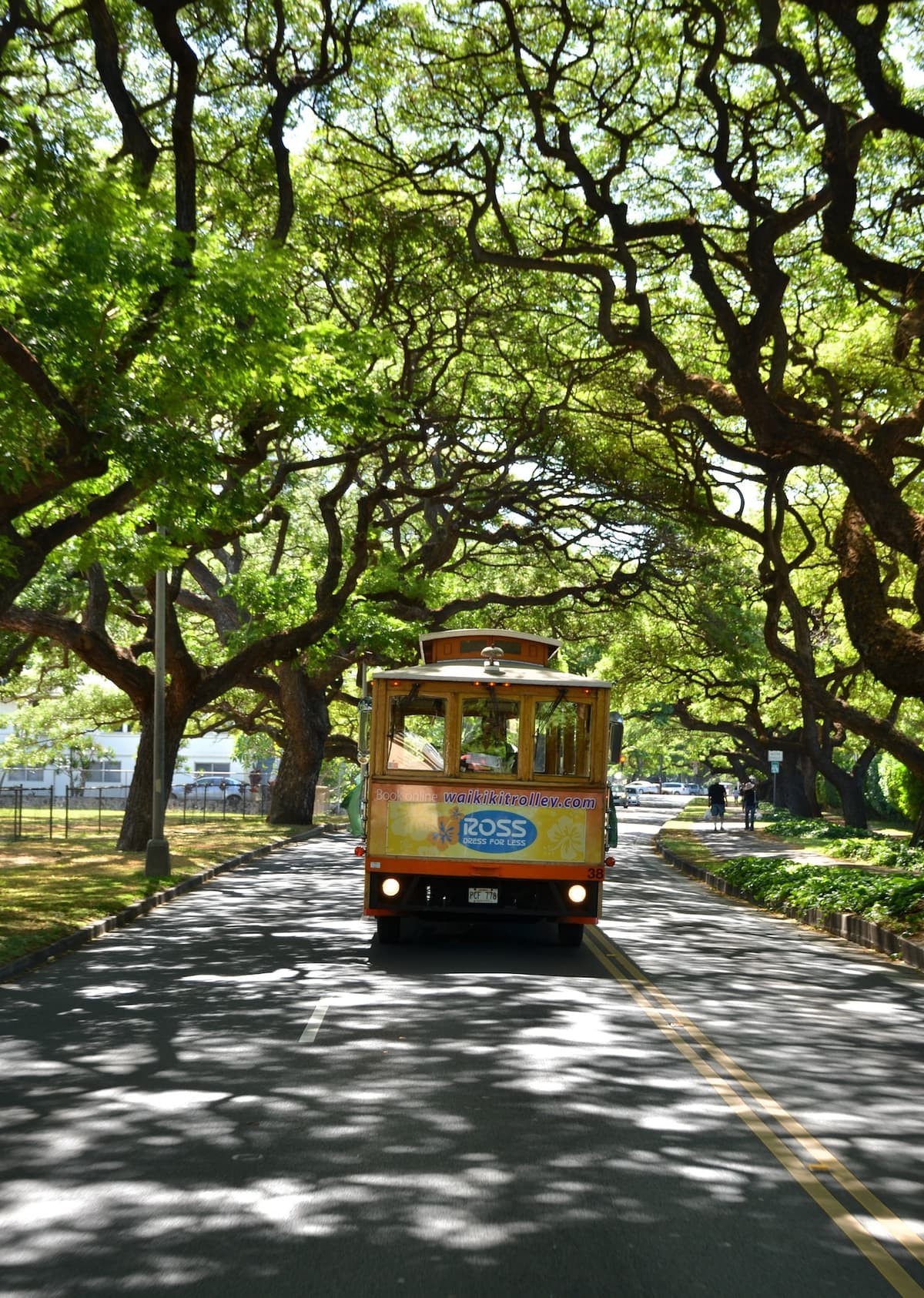 Waikiki Trolley Hop-on Hop-off Bus Tour