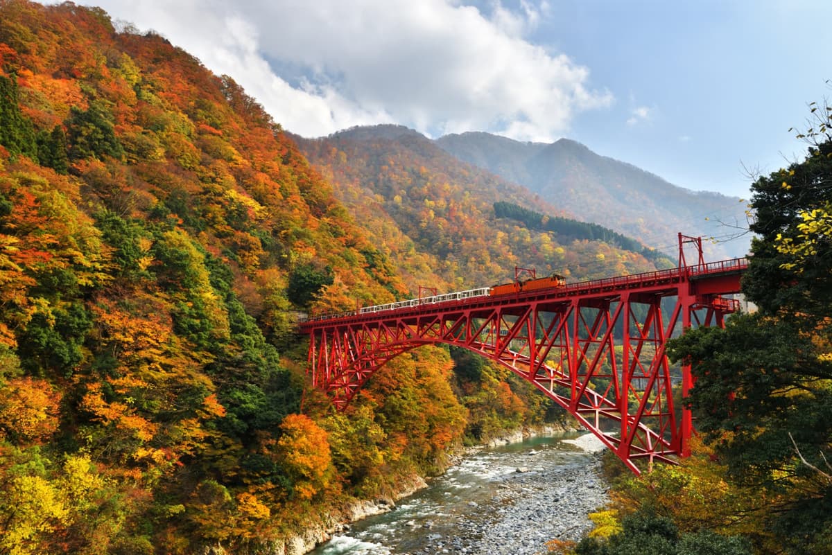 Kurobe Gorge Railway Ticket