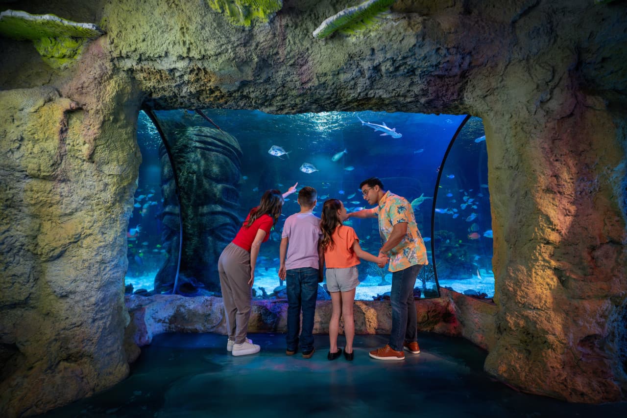 SEA LIFE Orlando Aquarium Ticket