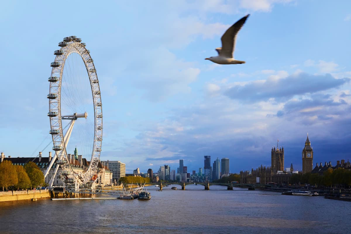 COMBO: London Eye + SEA LIFE London Aquarium Ticket