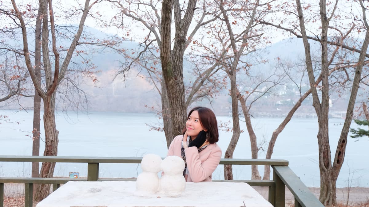 Nami Island, Petite France, Garden of Morning Calm, and Gangchon Rail Bike Tour from Seoul