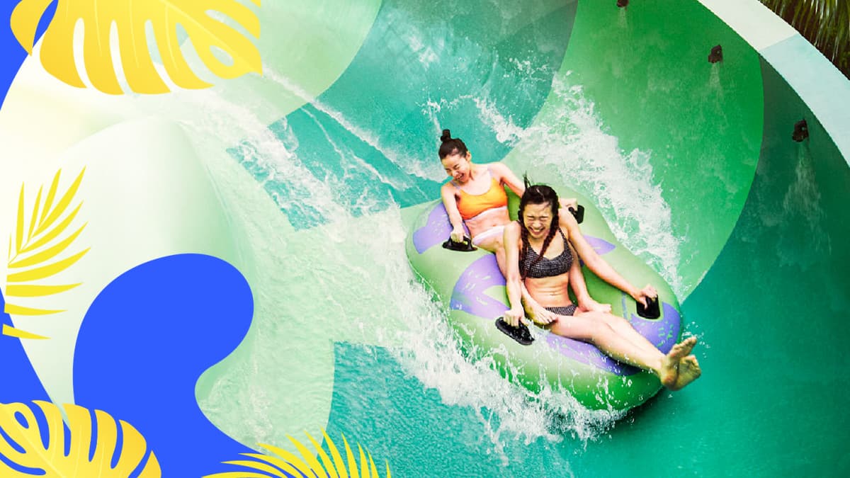 Adventure Cove Waterpark Ticket