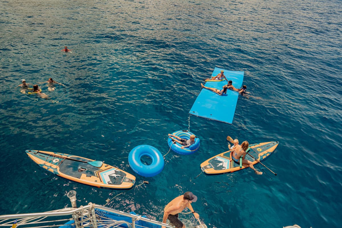 Kona Dolphin Watching Cruise with Snorkelling Experience