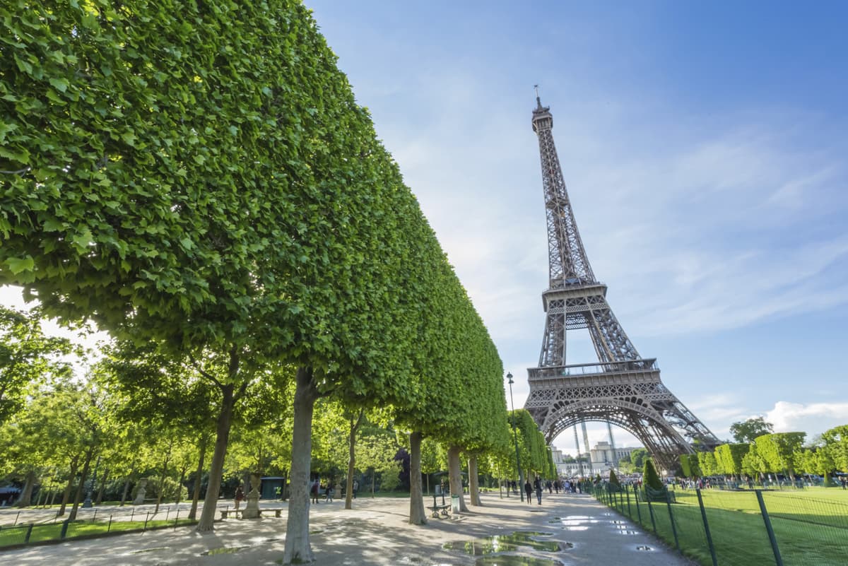 Paris Open-Top Bus Tour and Eiffel Tower Reserved Access