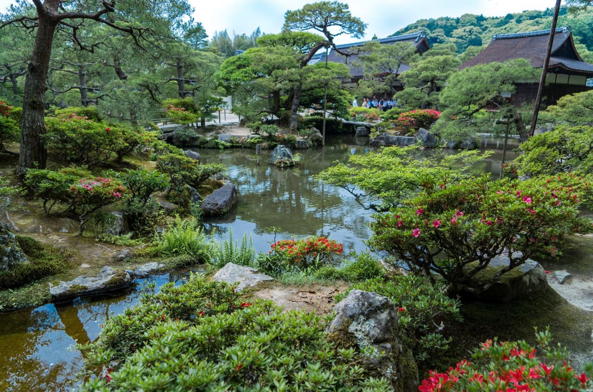 Nijo Castle, Kinkaku-ji Temple and Imperial Palace Tour from Kyoto