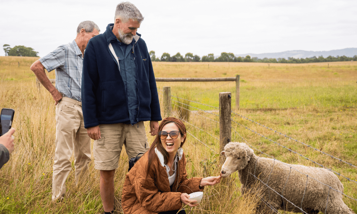 Yarra Valley Full-Day Grazing Tour from Melbourne