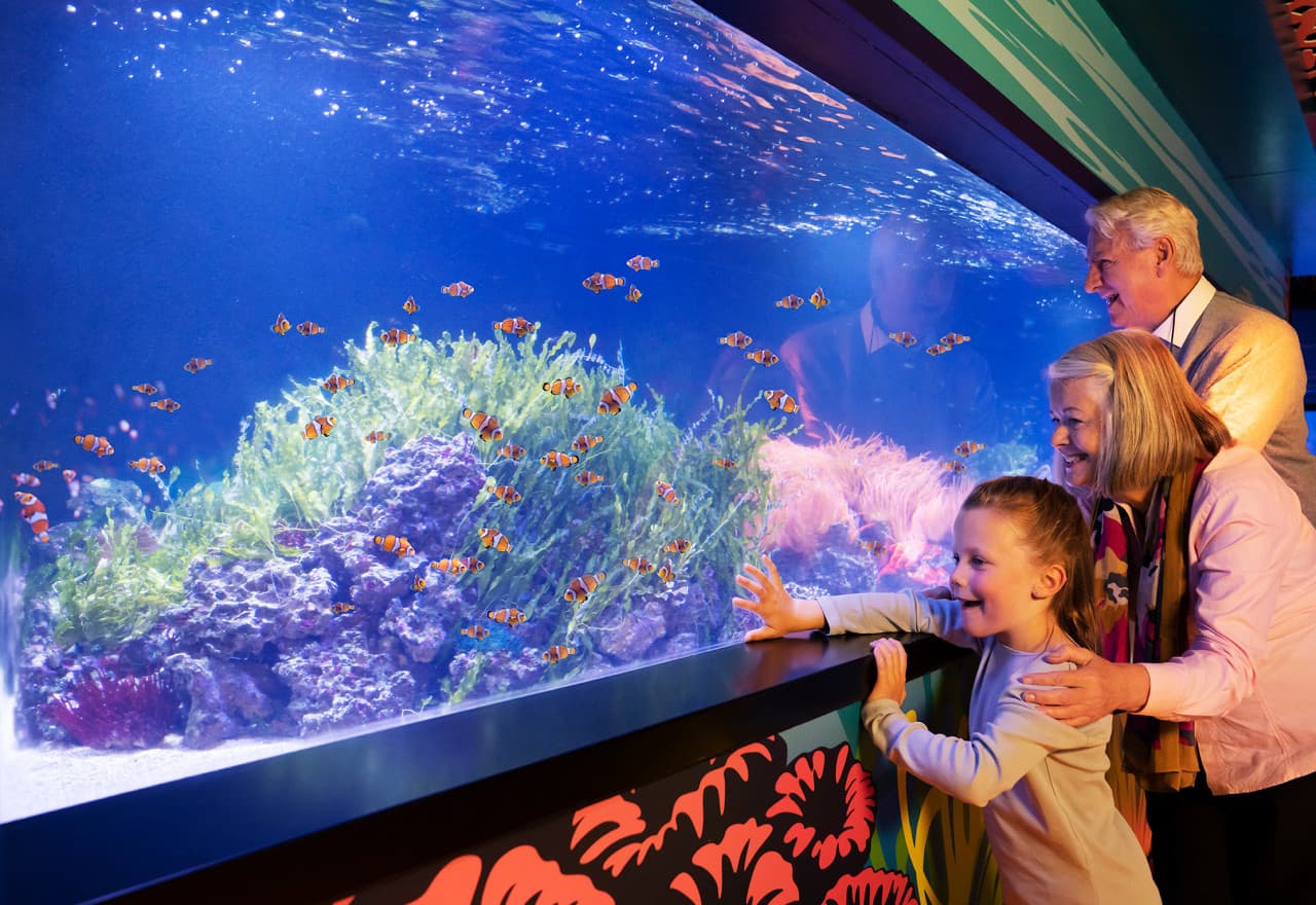 SEA LIFE London Aquarium Ticket