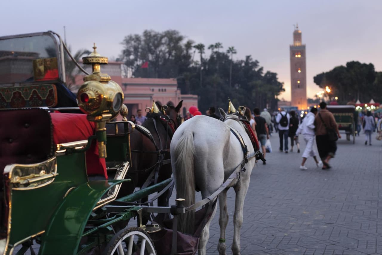 Marrakech Full-Day Tour from Casablanca: Koutoubia Mosque, Menara Gardens, Djemaa El Fna Square