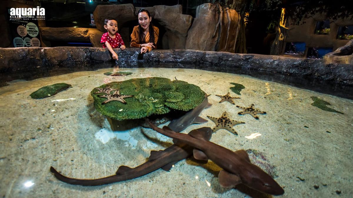 Aquaria KLCC Ticket