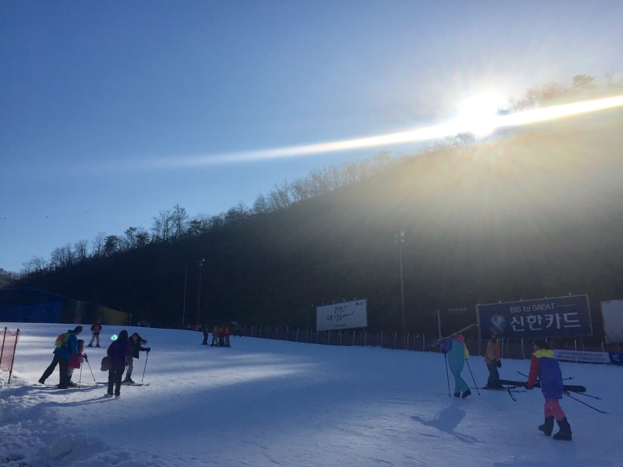 Elysian Gangchon Ski Resort and Nami Island Full-Day Tour from Seoul