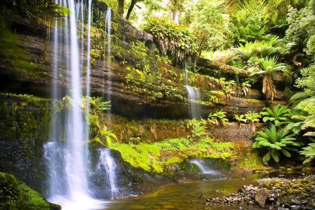 Russell Falls Tour from Hobart