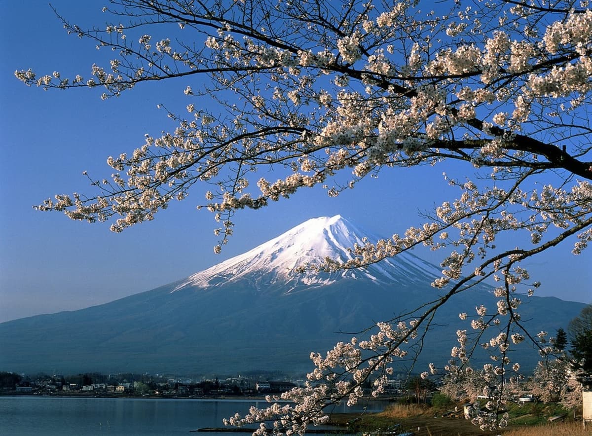 Mount Fuji and Hakone Tour