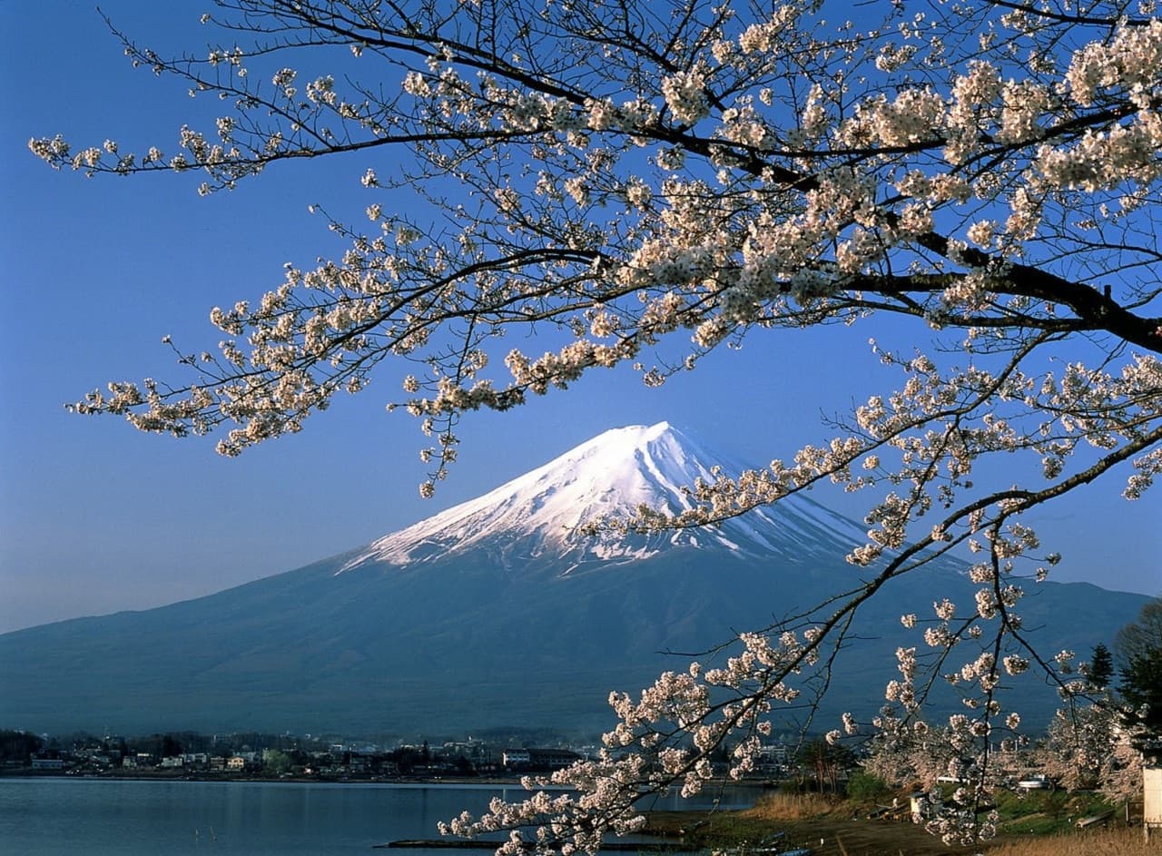 Mount Fuji and Hakone Tour