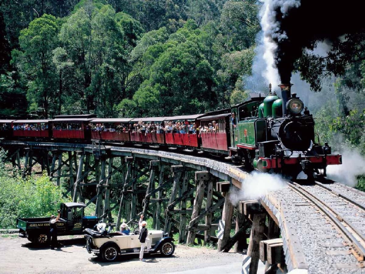 Puffing Billy and Healesville Sanctuary Tour