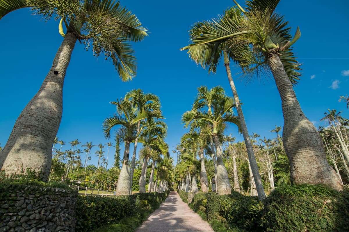 Okinawa Southeast Botanical Gardens