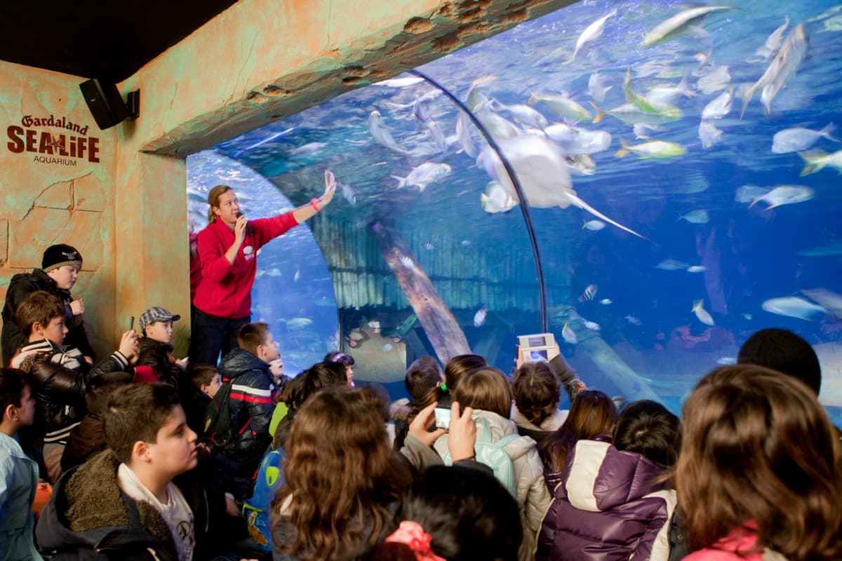 Gardaland SEA LIFE Aquarium Ticket