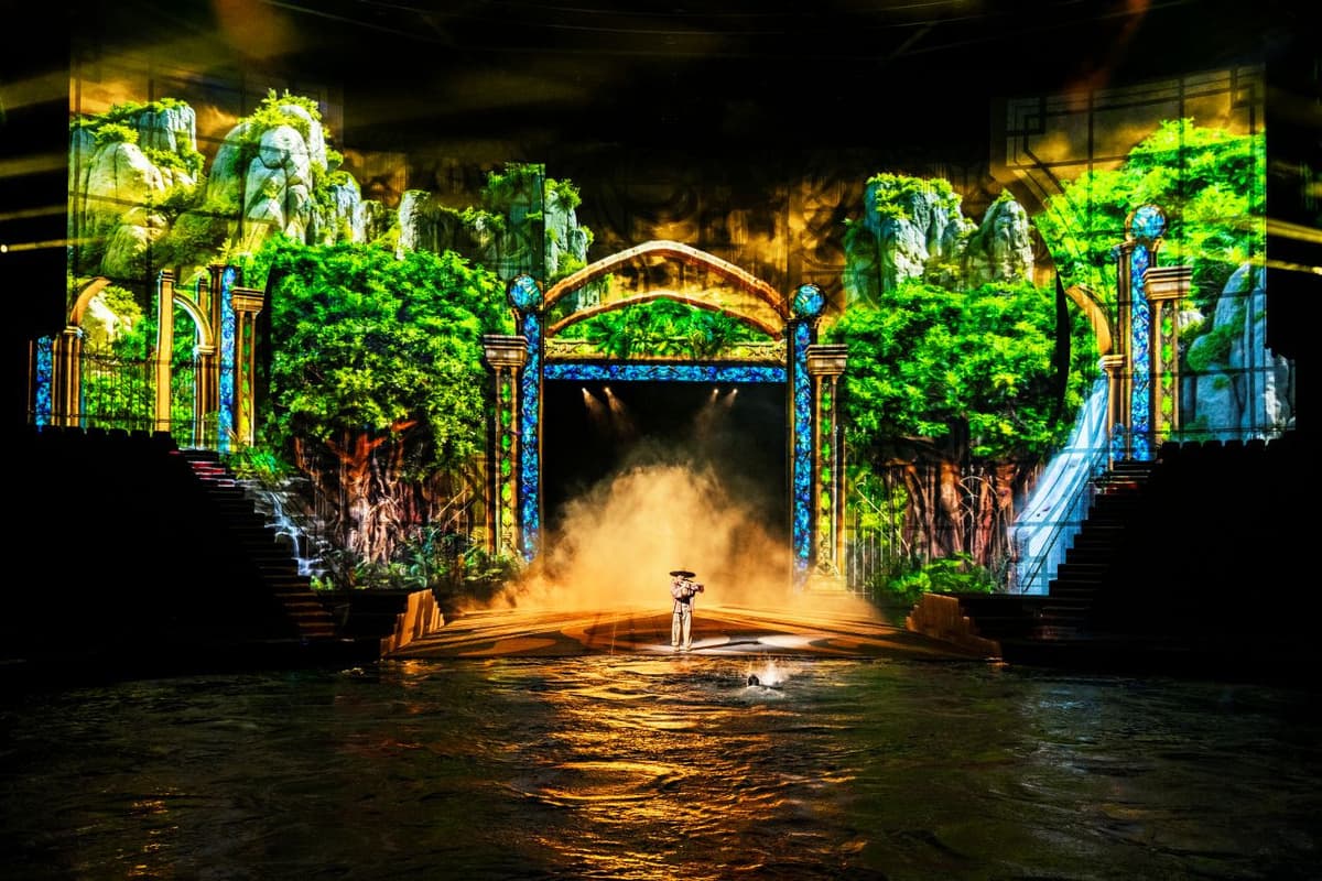 House of Dancing Water Show Ticket