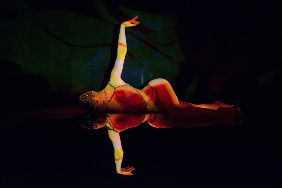 Crazy Horse Paris Show Ticket