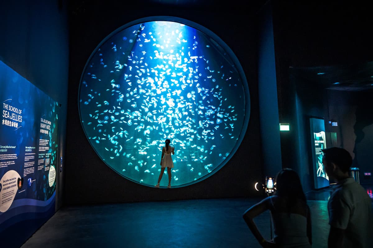 COMBO: Singapore Oceanarium + Gardens by the Bay Ticket
