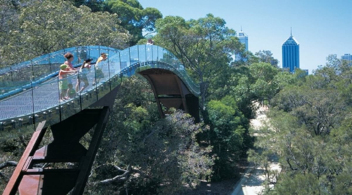 Perth and Fremantle City Tour