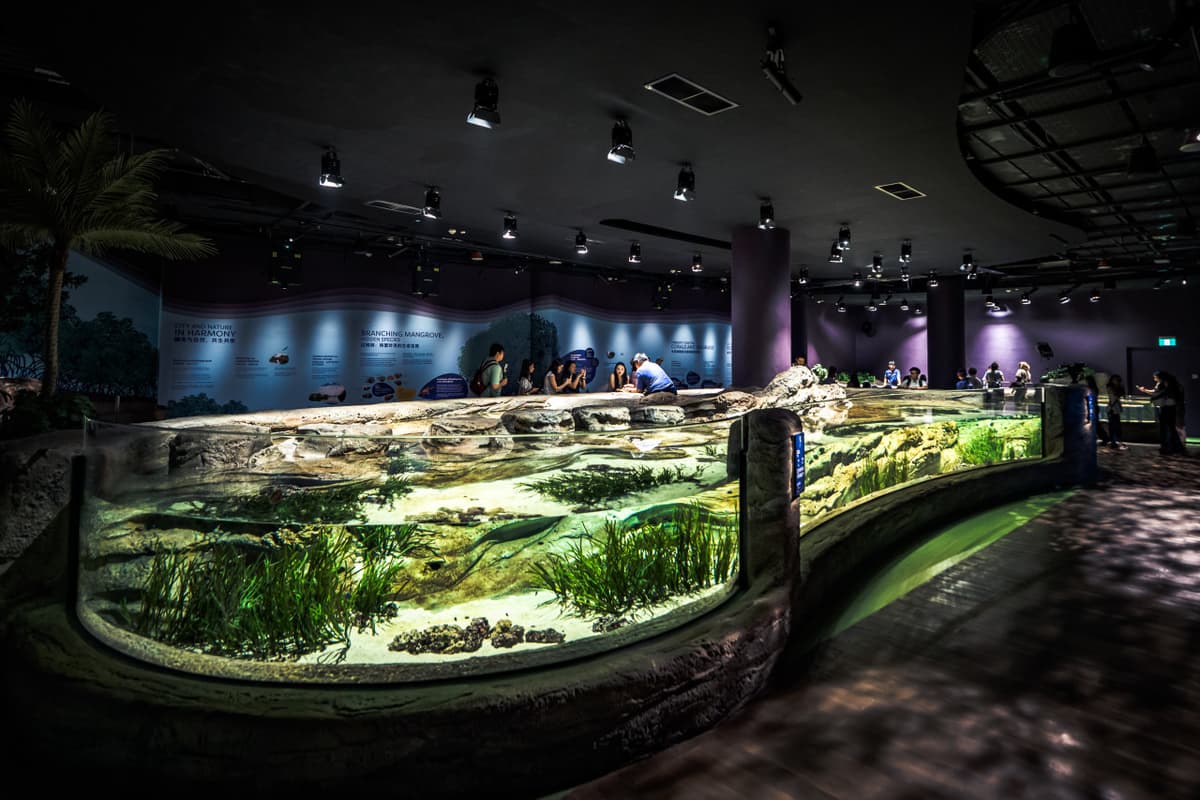 COMBO: Singapore Cable Car + Singapore Oceanarium + Albatross Hop-On Hop-Off Speedboat Tickets