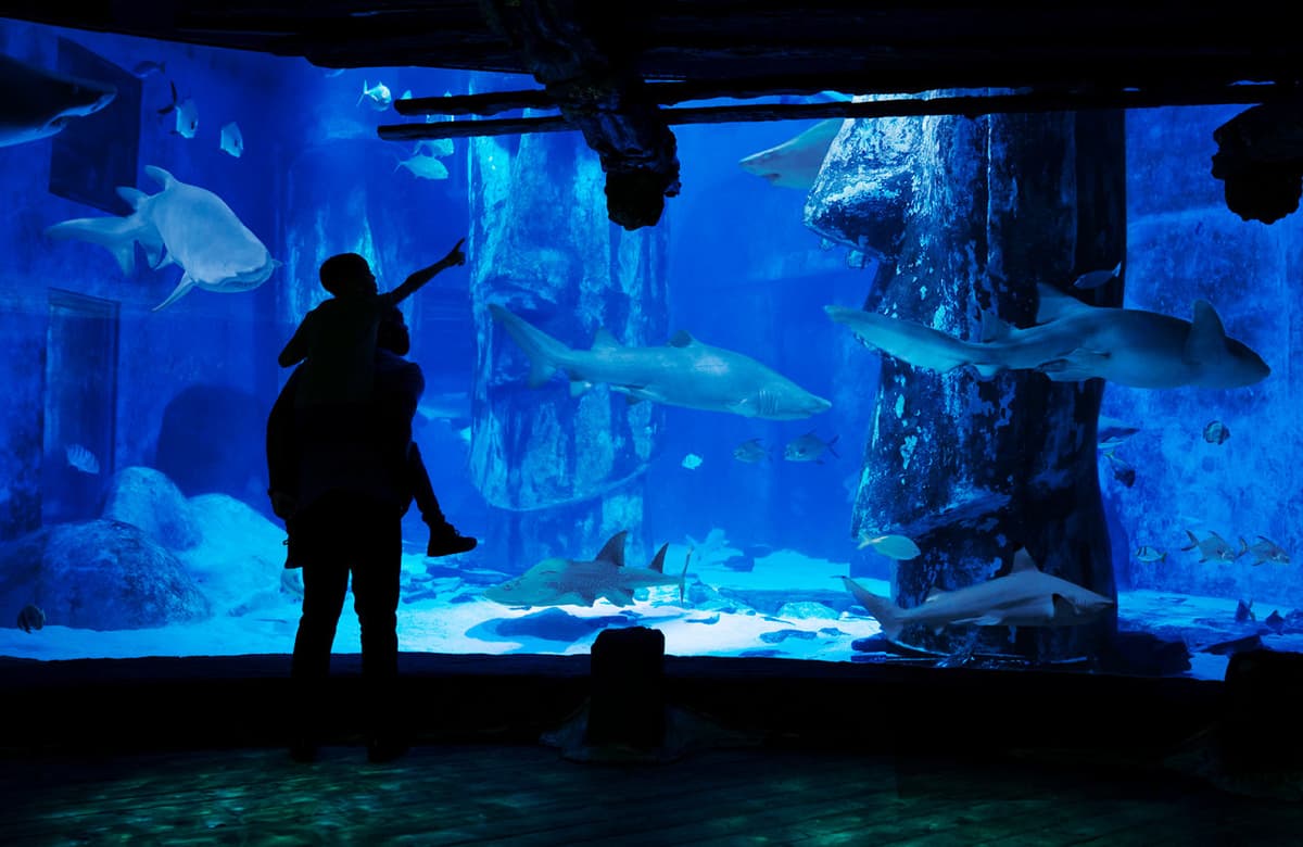 SEA LIFE London Aquarium Ticket