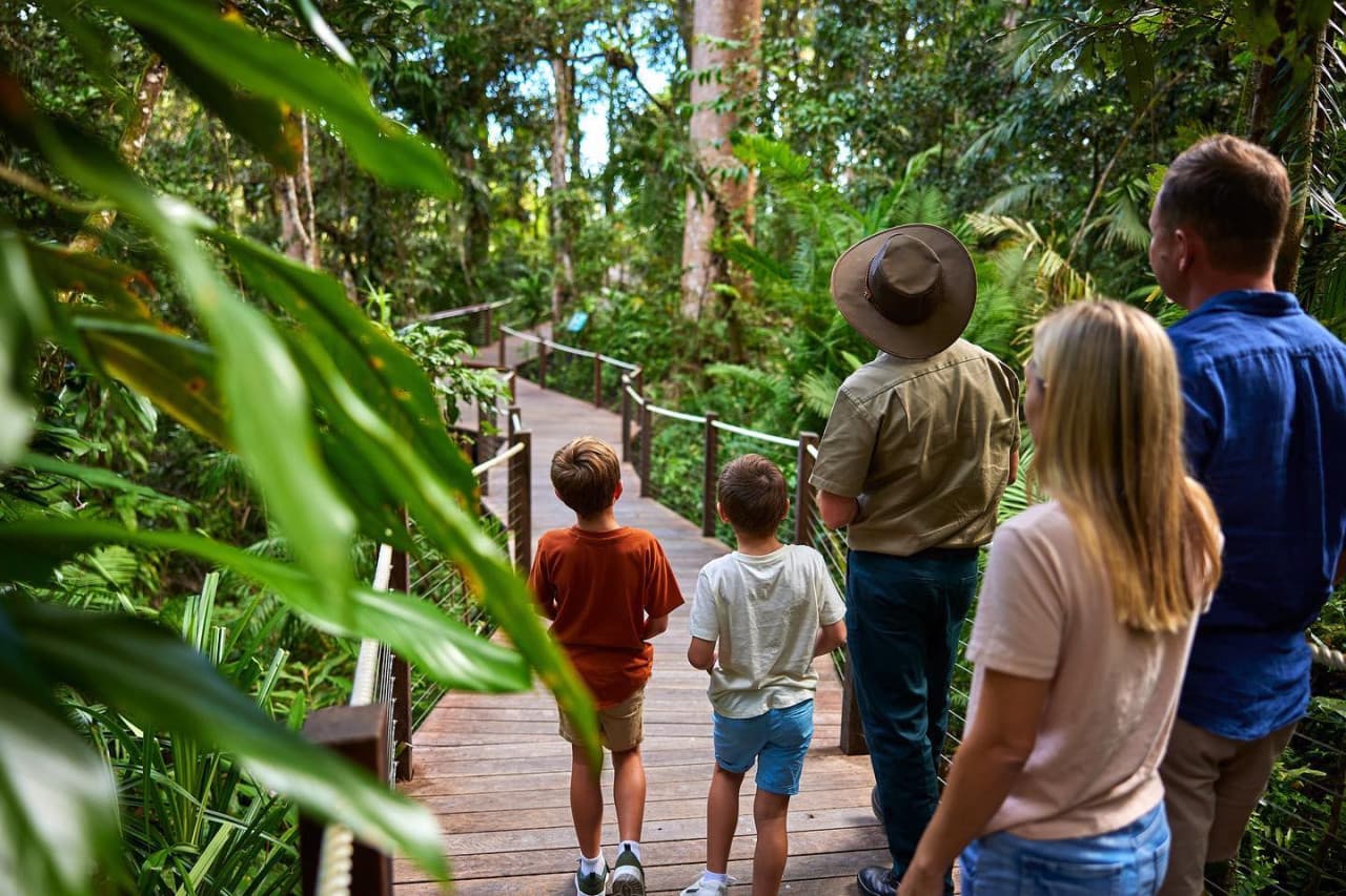Skyrail Rainforest Cableway with Optional Kuranda Scenic Train Ticket and Hotel Pick-Up
