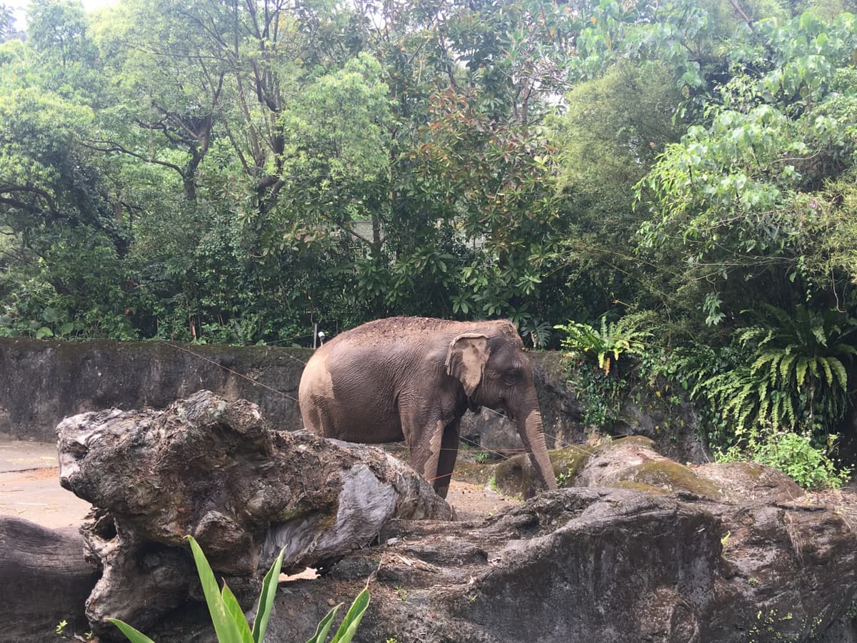 Taipei Zoo