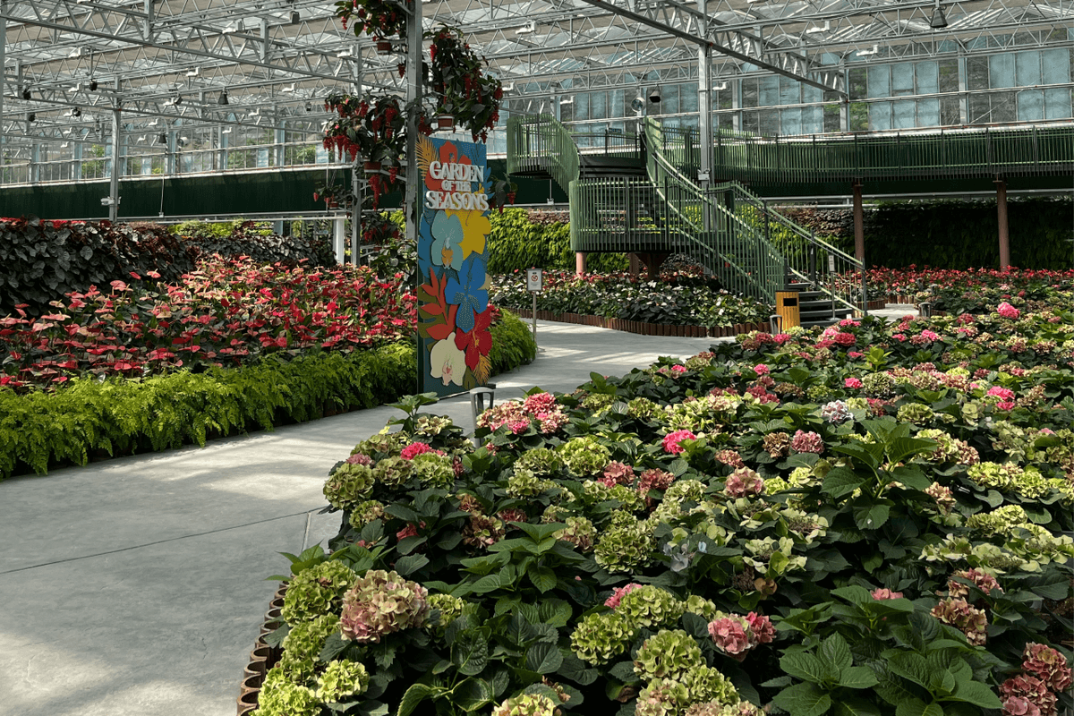 COMBO: Eufloria Gardens & Sculpture Park + Genting Skyway Tickets
